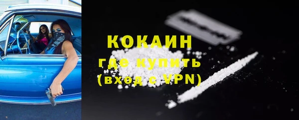 мет Новозыбков