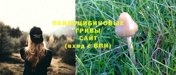 винт Новокубанск
