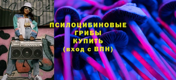 ECSTASY Белая Холуница