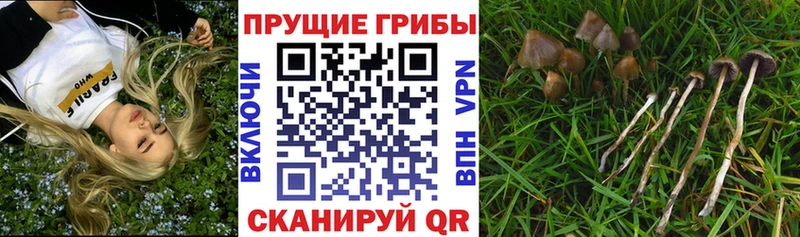 Галлюциногенные грибы ЛСД  Кировград 