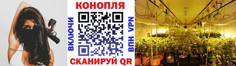 Канабис индика  магазин продажи наркотиков  Кировград 